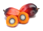 despartit-nou4.png