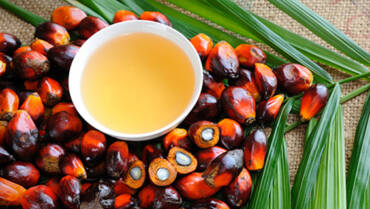 Lucruri mai putin stiute despre uleiul de palmier